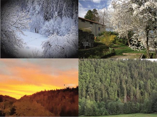 Gite Les Loges D'Arbez Septmoncel-Les-Molunes Esterno foto